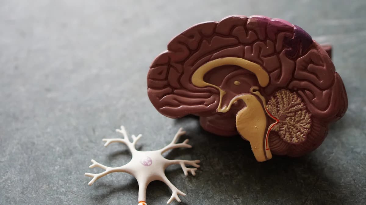 Persoon met hoofdpijn op de tweede dag van een detox retraite, een veelvoorkomende bijwerking